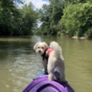 Meet your Posher, Renee